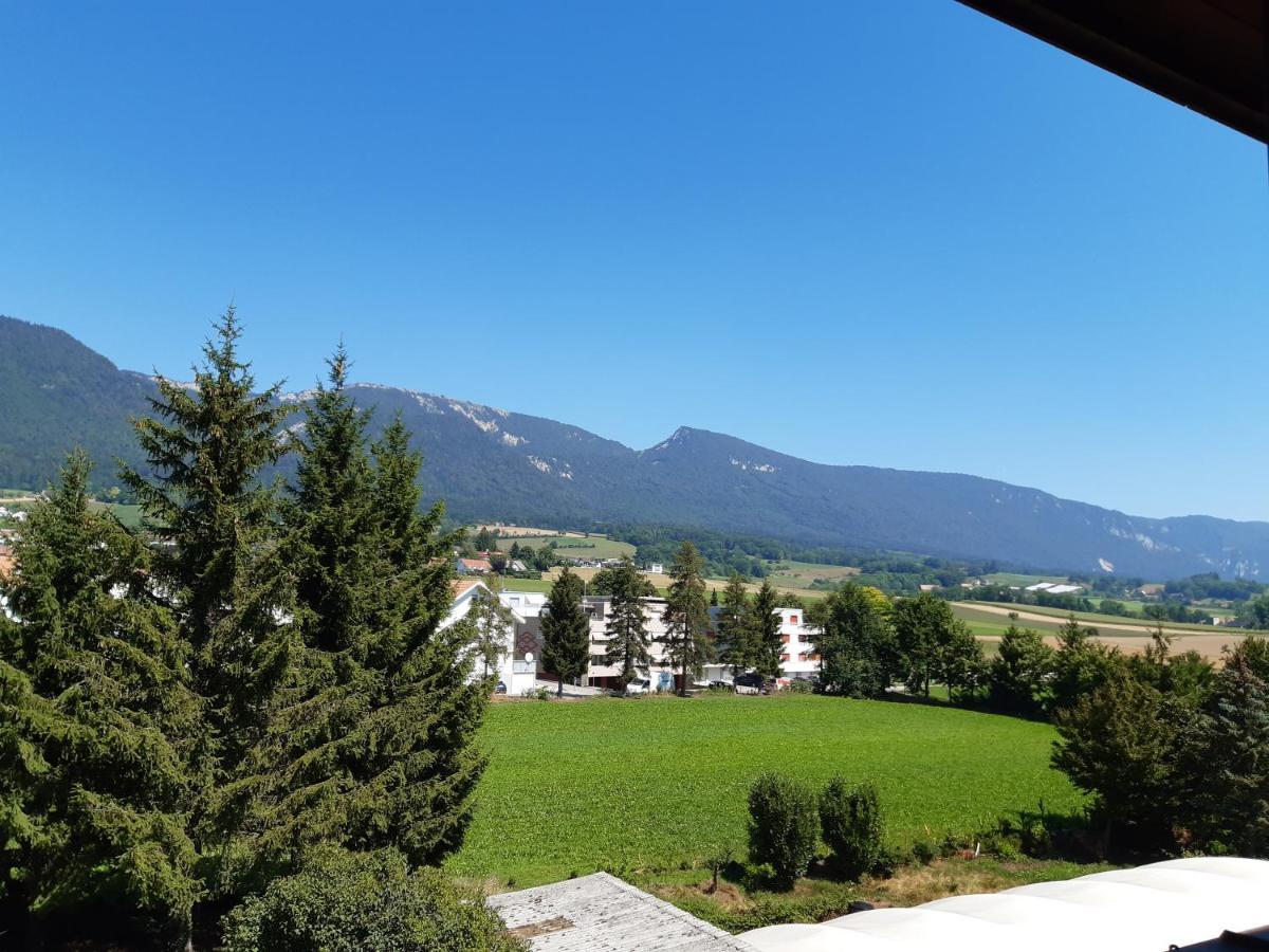 Hotel Urs Und Viktor Bettlach Bagian luar foto